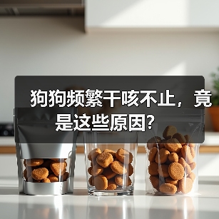 狗狗频繁干咳不止,竟是这些原因?(图4) 狗狗频繁干咳不止,竟是这些原因?(图4)