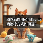 猫咪感冒用药危险，正确治疗方式如何选？（图2）
