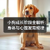 小狗成长阶段全解析:身体与心理发育规律(图1) 小狗成长阶段全解析:身体与心理发育规律(图1)