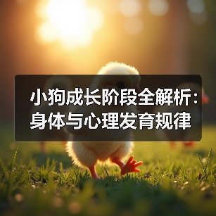 小狗成长阶段全解析:身体与心理发育规律(图3) 小狗成长阶段全解析:身体与心理发育规律(图3)