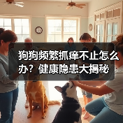 狗狗频繁抓痒不止怎么办？健康隐患大揭秘（图4）