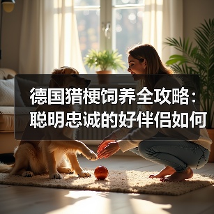 德国猎梗饲养全攻略:聪明忠诚的好伴侣如何正确养护(图4) 德国猎梗饲养全攻略:聪明忠诚的好伴侣如何正确养护(图4)