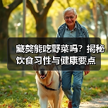 藏獒能吃野菜吗?揭秘饮食习性与健康要点(图2) 藏獒能吃野菜吗?揭秘饮食习性与健康要点(图2)