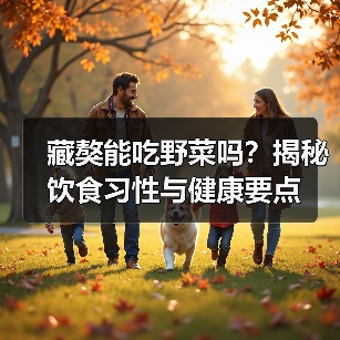 藏獒能吃野菜吗?揭秘饮食习性与健康要点(图1) 藏獒能吃野菜吗?揭秘饮食习性与健康要点(图1)