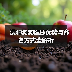 混种狗狗健康优势与命名方式全解析(图3) 混种狗狗健康优势与命名方式全解析(图3)