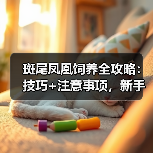 斑尾凤凰饲养全攻略：技巧+注意事项，新手也能轻松养好（图1）