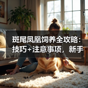 斑尾凤凰饲养全攻略：技巧+注意事项，新手也能轻松养好（图4）