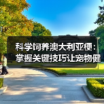 科学饲养澳大利亚梗：掌握关键技巧让宠物健康成长