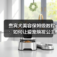 贵宾犬美容保姆级教程：如何让爱宠焕发公主魅力