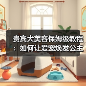 贵宾犬美容保姆级教程:如何让爱宠焕发公主魅力(图3) 贵宾犬美容保姆级教程:如何让爱宠焕发公主魅力(图3)