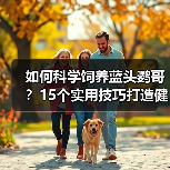 如何科学饲养蓝头鹦哥？15个实用技巧打造健康快乐生活