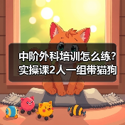 中阶外科培训怎么练?实操课2人一组带猫狗提升快(图2) 中阶外科培训怎么练?实操课2人一组带猫狗提升快(图2)