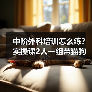 中阶外科培训怎么练?实操课2人一组带猫狗提升快(图4) 中阶外科培训怎么练?实操课2人一组带猫狗提升快(图4)