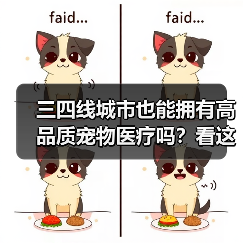 三四线城市也能拥有高品质宠物医疗吗?看这位人大代表的实践(图3) 三四线城市也能拥有高品质宠物医疗吗?看这位人大代表的实践(图3)
