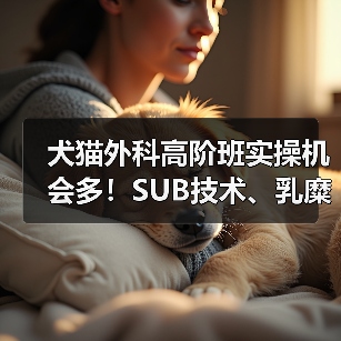 犬猫外科高阶班实操机会多!SUB技术、乳糜胸手术怎么练?(图2) 犬猫外科高阶班实操机会多!SUB技术、乳糜胸手术怎么练?(图2)