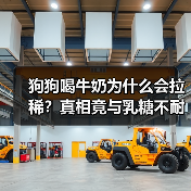 狗狗喝牛奶为什么会拉稀?真相竟与乳糖不耐受有关!(图4) 狗狗喝牛奶为什么会拉稀?真相竟与乳糖不耐受有关!(图4)