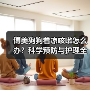 博美狗狗着凉咳嗽怎么办？科学预防与护理全指南