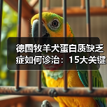 德国牧羊犬蛋白质缺乏症如何诊治:15大关键点解析(图3) 德国牧羊犬蛋白质缺乏症如何诊治:15大关键点解析(图3)