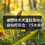 德国牧羊犬蛋白质缺乏症如何诊治:15大关键点解析(图1) 德国牧羊犬蛋白质缺乏症如何诊治:15大关键点解析(图1)