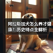 阿拉斯加犬怎么养才健康?历史特点全解析(图4) 阿拉斯加犬怎么养才健康?历史特点全解析(图4)