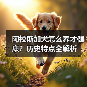 阿拉斯加犬怎么养才健康?历史特点全解析(图1) 阿拉斯加犬怎么养才健康?历史特点全解析(图1)