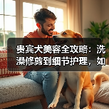 贵宾犬美容全攻略:洗澡修剪到细节护理,如何让它更美丽?(图4) 贵宾犬美容全攻略:洗澡修剪到细节护理,如何让它更美丽?(图4)