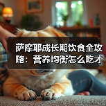 萨摩耶成长期饮食全攻略:营养均衡怎么吃才健康?(图4) 萨摩耶成长期饮食全攻略:营养均衡怎么吃才健康?(图4)