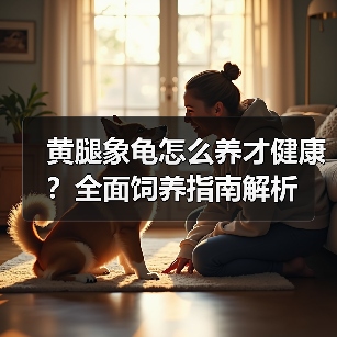 黄腿象龟怎么养才健康?全面饲养指南解析(图1) 黄腿象龟怎么养才健康?全面饲养指南解析(图1)