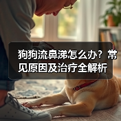 狗狗流鼻涕怎么办?常见原因及治疗全解析(图4) 狗狗流鼻涕怎么办?常见原因及治疗全解析(图4)