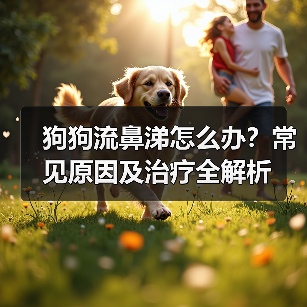 狗狗流鼻涕怎么办?常见原因及治疗全解析(图2) 狗狗流鼻涕怎么办?常见原因及治疗全解析(图2)