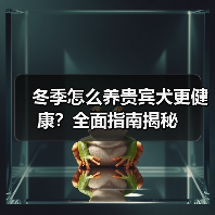 冬季怎么养贵宾犬更健康?全面指南揭秘(图3) 冬季怎么养贵宾犬更健康?全面指南揭秘(图3)