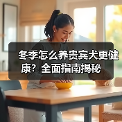 冬季怎么养贵宾犬更健康?全面指南揭秘(图4) 冬季怎么养贵宾犬更健康?全面指南揭秘(图4)