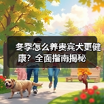 冬季怎么养贵宾犬更健康？全面指南揭秘
