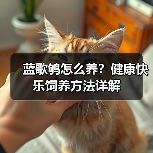 蓝歌鸲怎么养?健康快乐饲养方法详解(图2) 蓝歌鸲怎么养?健康快乐饲养方法详解(图2)