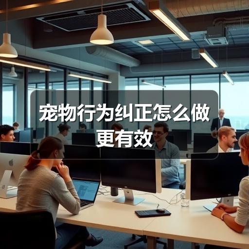 宠物行为纠正怎么做更有效