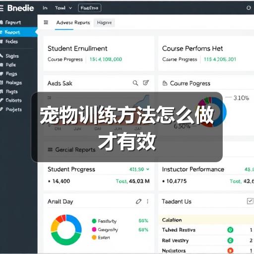 宠物训练方法怎么做才有效