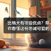 比格犬有哪些优点?带你看懂这份忠诚可爱的宠物魅力(图4) 比格犬有哪些优点?带你看懂这份忠诚可爱的宠物魅力(图4)