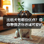 比格犬有哪些优点?带你看懂这份忠诚可爱的宠物魅力(图2) 比格犬有哪些优点?带你看懂这份忠诚可爱的宠物魅力(图2)