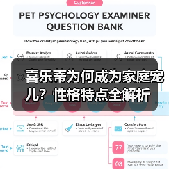 喜乐蒂为何成为家庭宠儿?性格特点全解析(图2) 喜乐蒂为何成为家庭宠儿?性格特点全解析(图2)