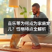 喜乐蒂为何成为家庭宠儿?性格特点全解析(图3) 喜乐蒂为何成为家庭宠儿?性格特点全解析(图3)