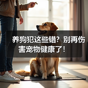 养狗犯这些错?别再伤害宠物健康了!(图4) 养狗犯这些错?别再伤害宠物健康了!(图4)