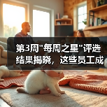 第3周 第3周