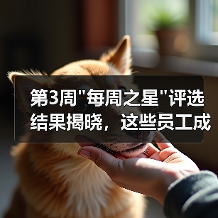 第3周 第3周