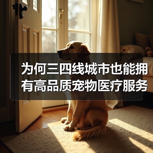 为何三四线城市也能拥有高品质宠物医疗服务？