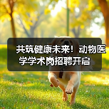 共筑健康未来！动物医学学术岗招聘开启（图3）