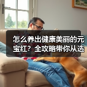 怎么养出健康美丽的元宝红?全攻略带你从选购到养护轻松搞定!(图3) 怎么养出健康美丽的元宝红?全攻略带你从选购到养护轻松搞定!(图3)