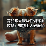 高加索犬服从性训练全攻略：宠物主人必看的技巧