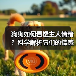 狗狗如何看透主人情绪?科学解析它们的情感理解力(图4) 狗狗如何看透主人情绪?科学解析它们的情感理解力(图4)