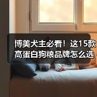 博美犬主必看!这15款高蛋白狗粮品牌怎么选?(图2) 博美犬主必看!这15款高蛋白狗粮品牌怎么选?(图2)