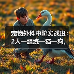 宠物外科中阶实战班:2人一组练一猫一狗,技术提升快吗?(图2) 宠物外科中阶实战班:2人一组练一猫一狗,技术提升快吗?(图2)